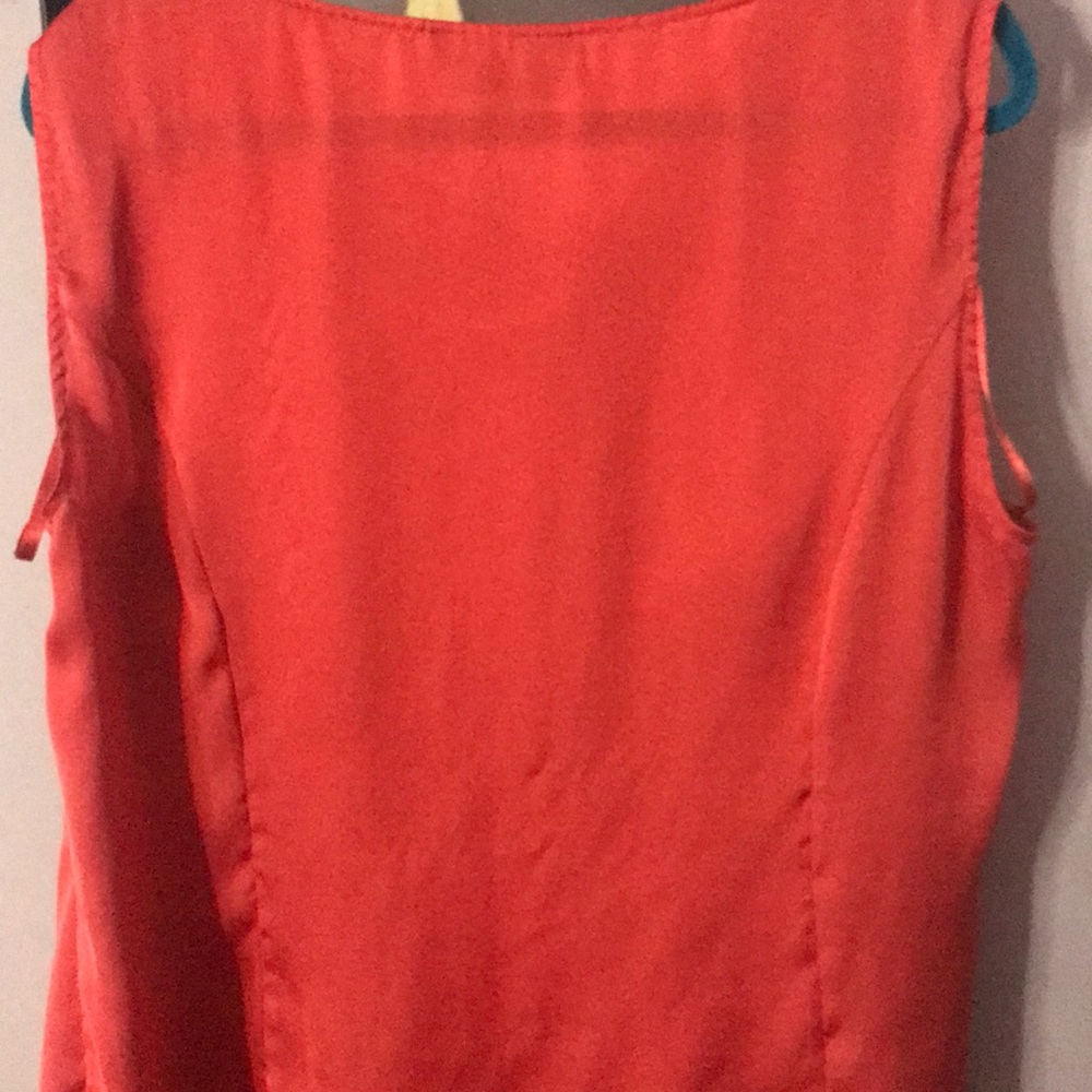 Burnt orange shell - Picture 2 of 2